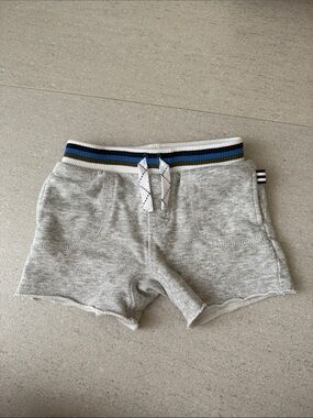 Splendid Grey Knit Shorts with Blue-Trim Waistband